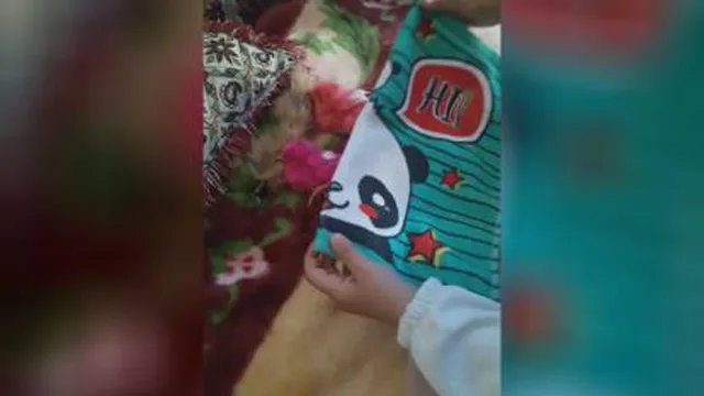 محبت کودکانه را جوجه رنگیها هم میفهمن