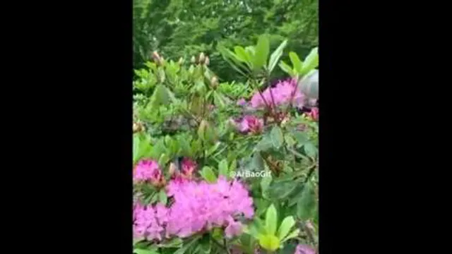 آرون افشارهوایی شده این دل