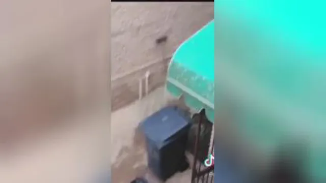 آخی😂😂😂