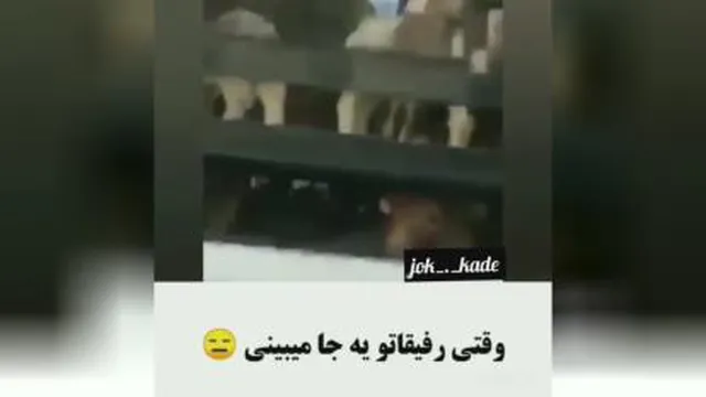 رفیق هاشو دیده