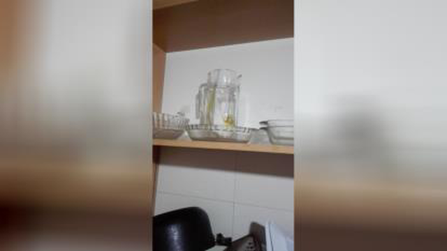 عروس هلندی