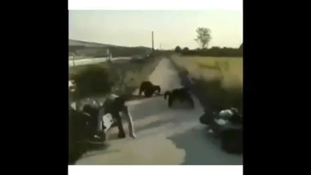مردم آزار😂