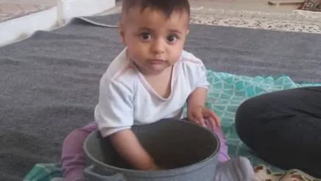 آش داریم چه آشی