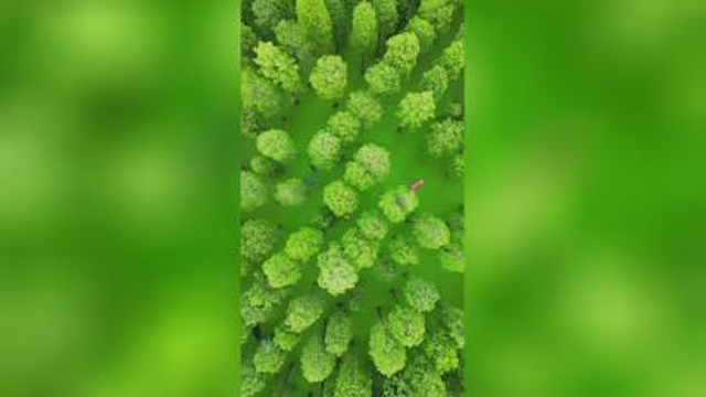طبیعت