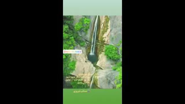 طبیعت زیبا