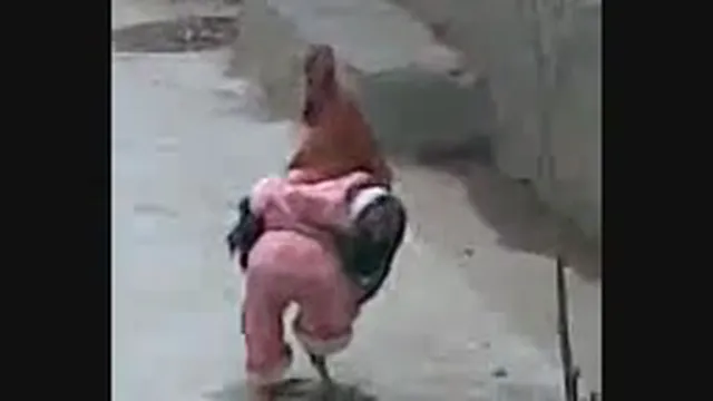 خروس خوش لباس