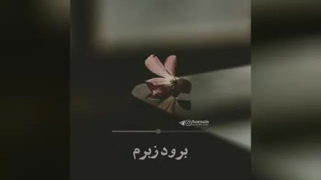معین خواننده