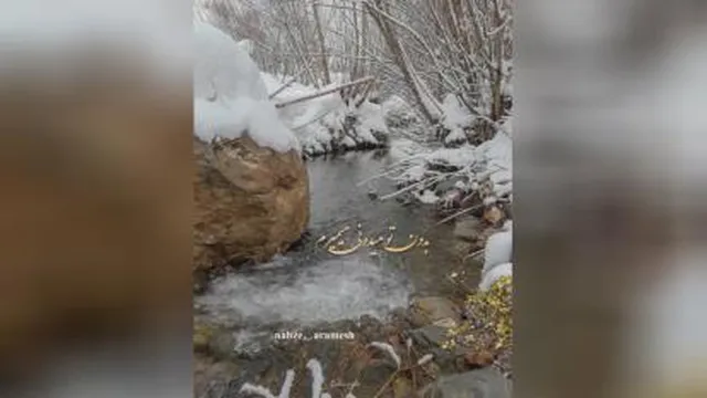 گرشا رضایی نرو