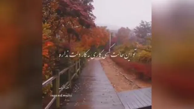 آهنگ دیدی دلت که میگیره یهومیزنه بارون میگیره ازیوسف زمانی