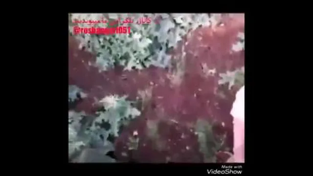 شهیدحاج احمدغلامی_برم رفیقمو بیارم😭😭😭