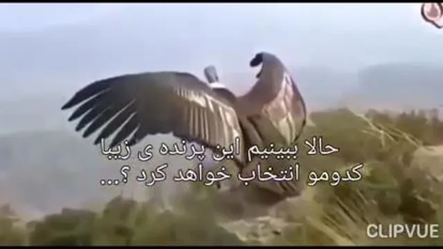 یک کلیپ بسیار زیبای انگیزشی