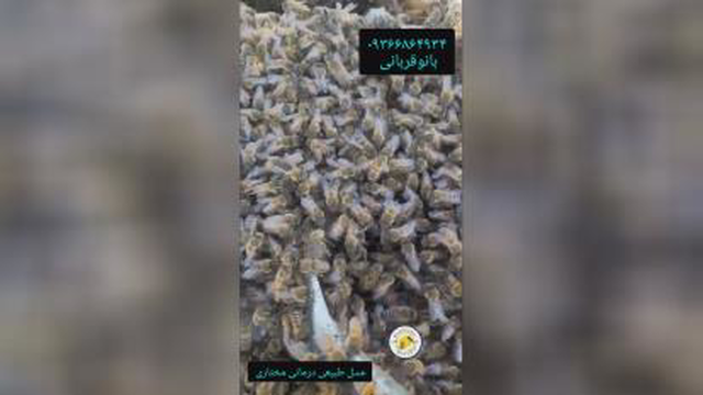 تا بحال آغوش مرگ رو شننیدین