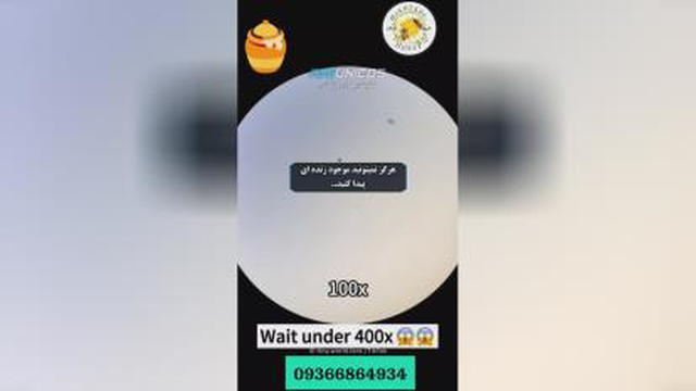 عسل طبیعی و خالص رو ببین