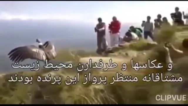 بهترین کلیپ انگیزشی