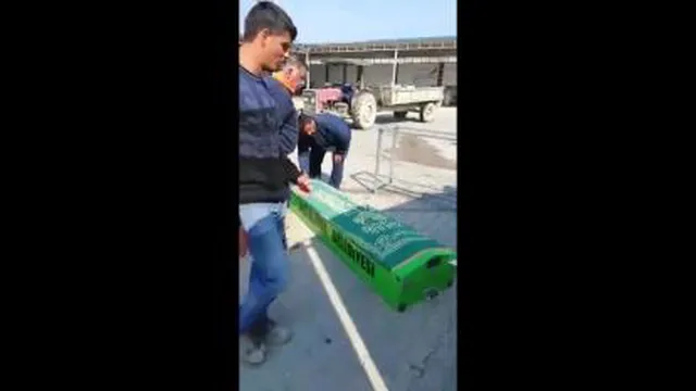 فقط بخند