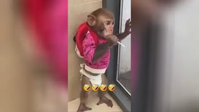 چه ناز آبنبات میخوره