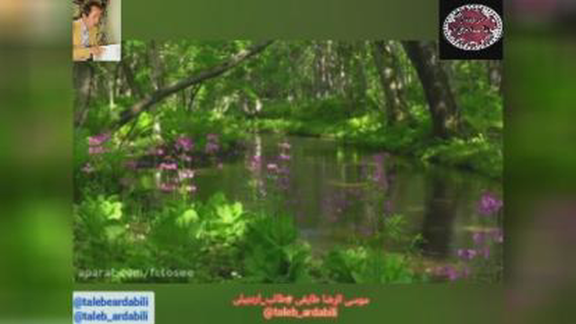 دکلمه غزل فارسی 24986 طالب اردبیلی با صدای شیرین جمالی