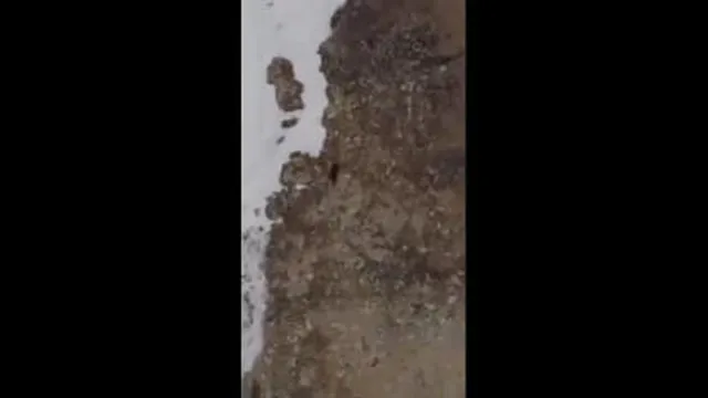 فقط ادامه بده