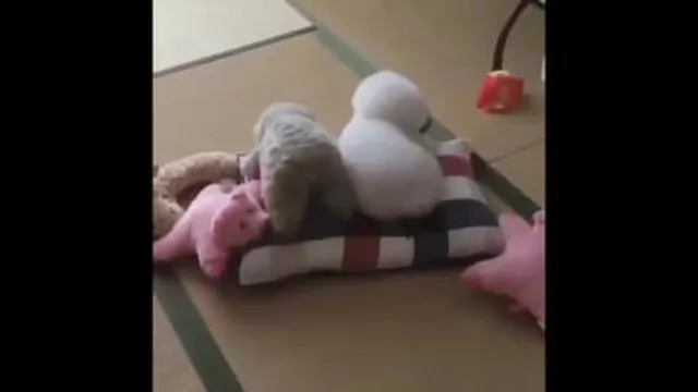 سگ خنگول باحال