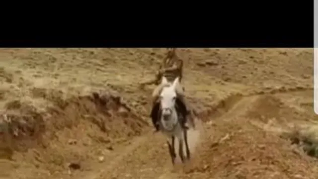 ببین و بخند
