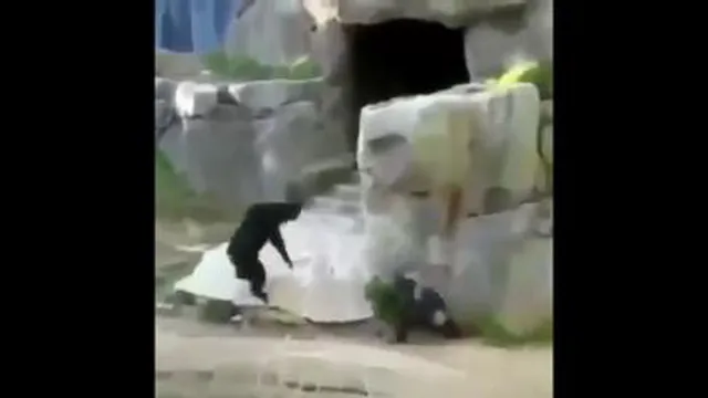 حسوانات