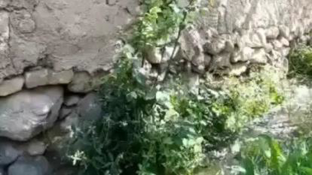 صدای. استاد 500