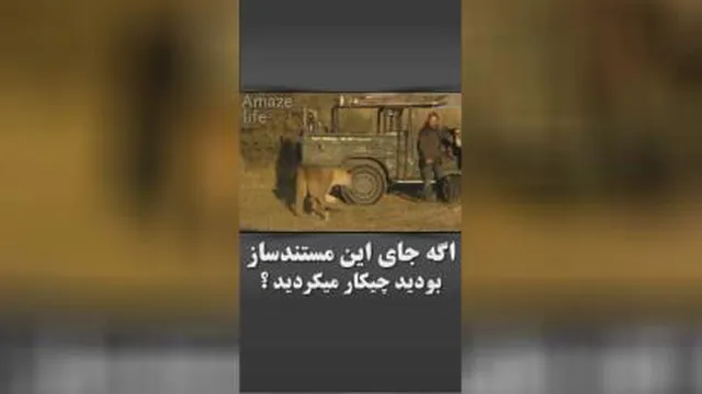 مستند شیر