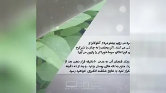 خواص درمانی ریحانه
