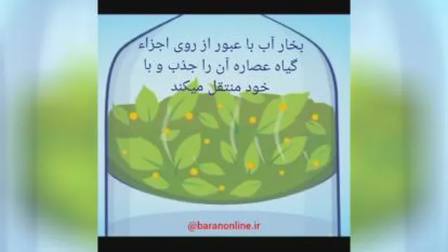 عرق‌گیری و عصاره گیری (تهیه اسانس طبیعی)