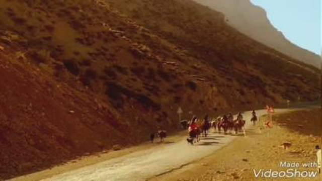 کوچ کلیپی از مسعود بختیاری