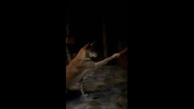 ارتباط