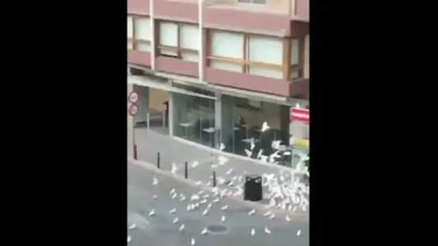 اعتماد