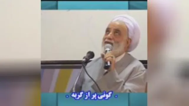 گونی پر از گربه