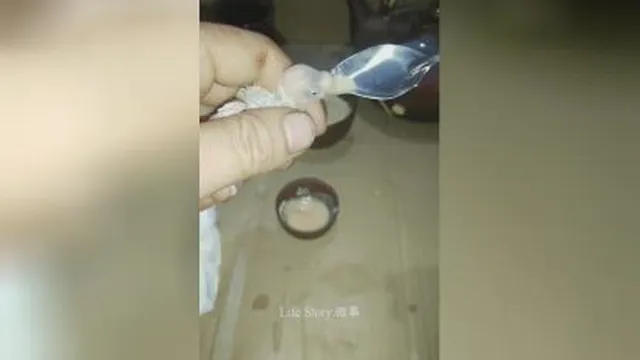 از تولد تا بزرگ شدن جوجه...لذت ببرید
