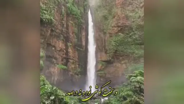 اگه میخواهید شاد زندگی کنید باید؟؟؟؟؟؟؟
