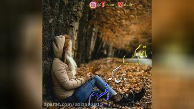موسیقی