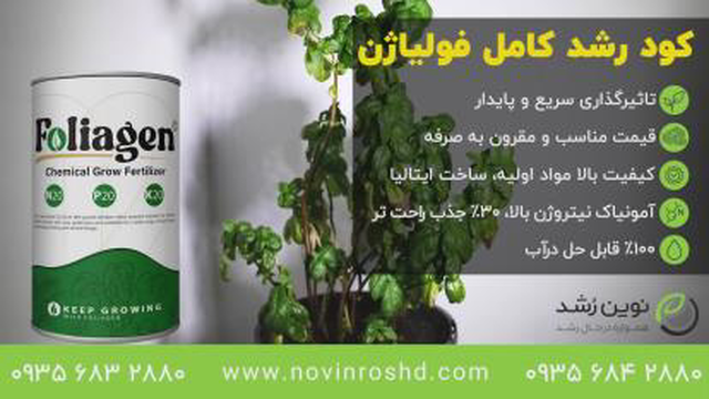 زندگی دوباره! رشد مجدد گیاه درحال مرگ با کود معجزه فولیاژن