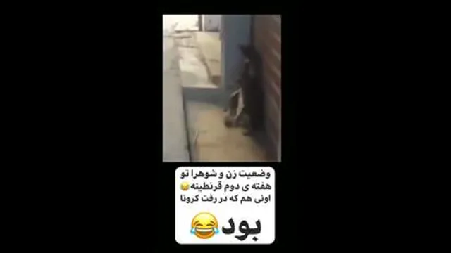 کرونا