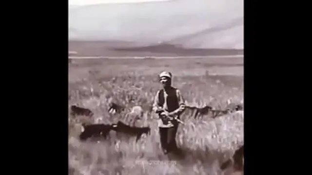 دنیای بی وفا