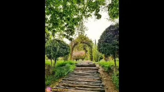 ترانه بهار زیبا
