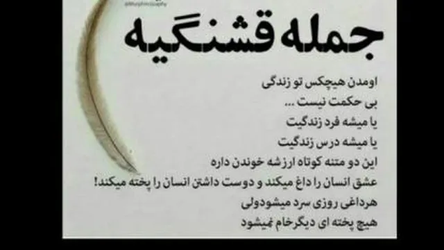 زودنیوزمجتبی