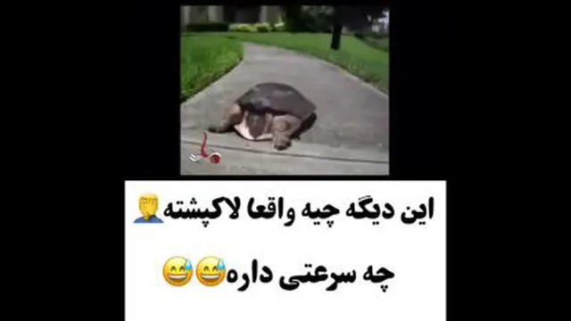 تبریک _عید_بفرست_برای_عشقت