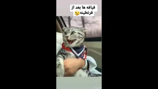 من_وقتی_بعدازتموم_شدنکرونا