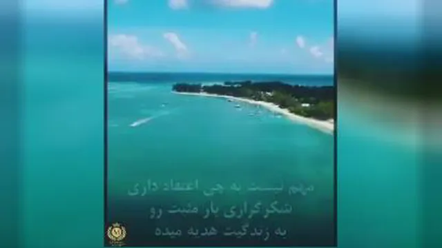 شکرگزار باش تا برکتِ فراوان واردِ زندگیت بشه