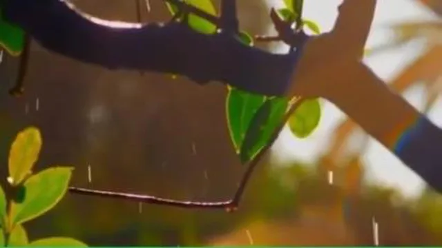 سخن عشق