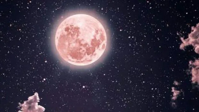 جدید ترین نوحه حاج مهد ی سلوکی