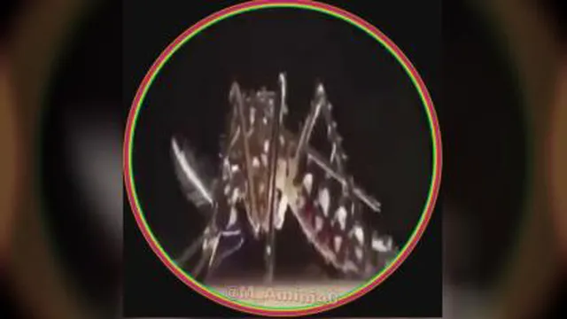 جالب و دیدنی حکمت خدا
