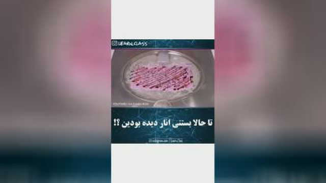 تاحالا بستنی انار دیده بودین ،😋😍