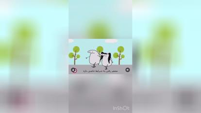 جوجو