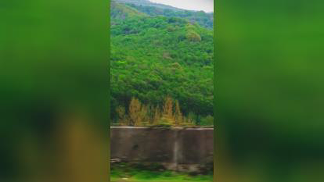 طبیعت سربز